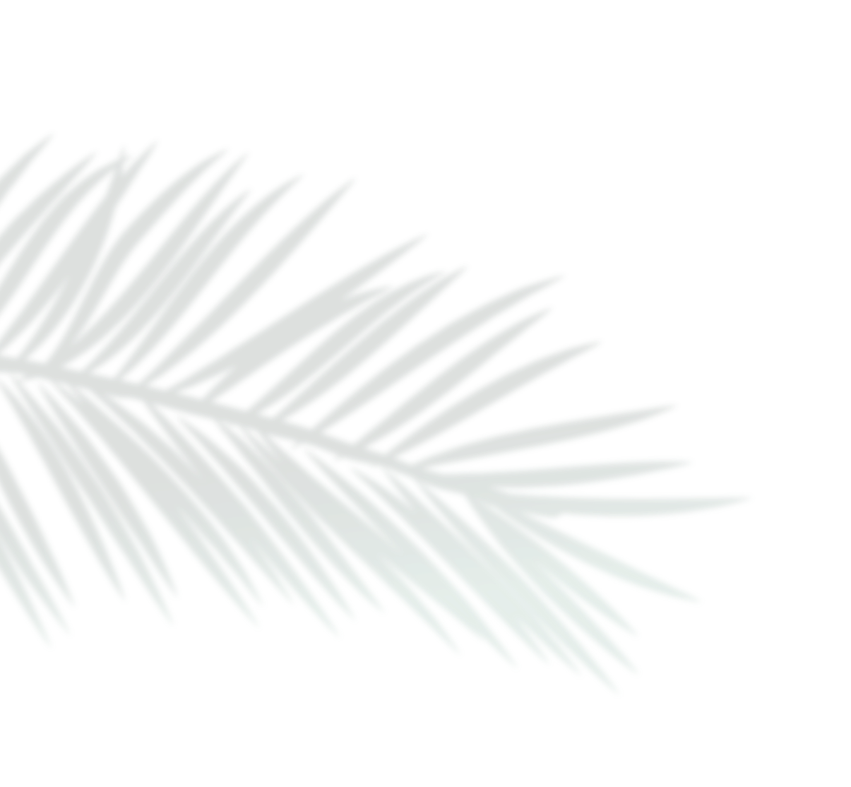 lampu